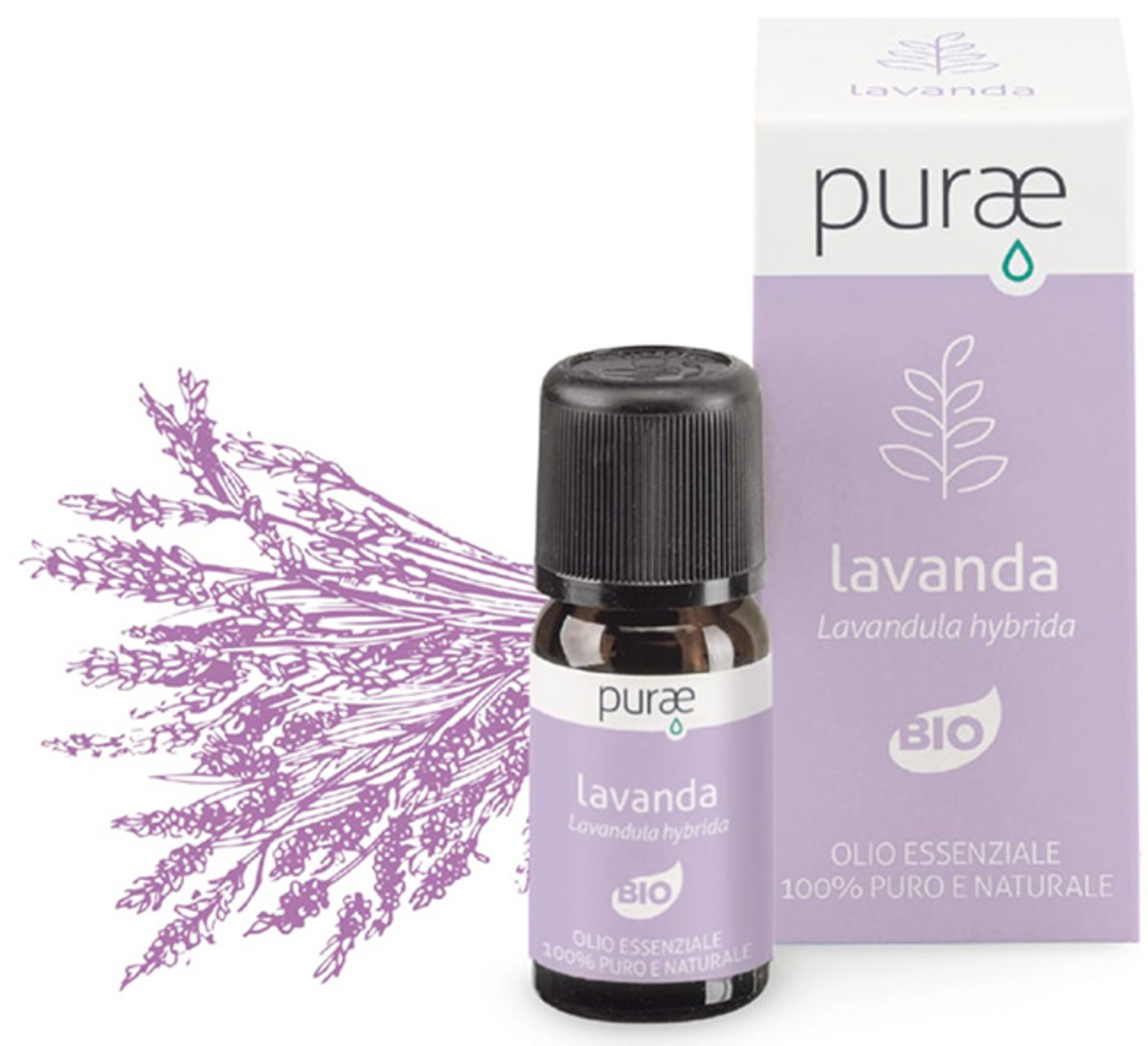 PURAE LAVANDA IBRIDA BIO OE