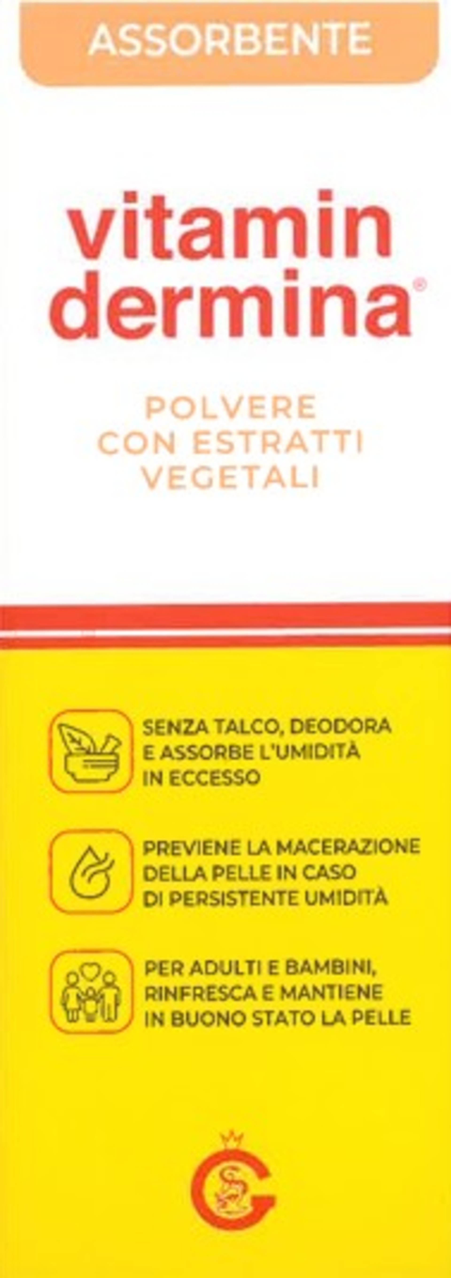 VITAMINDERMINA POLVERE EST100G
